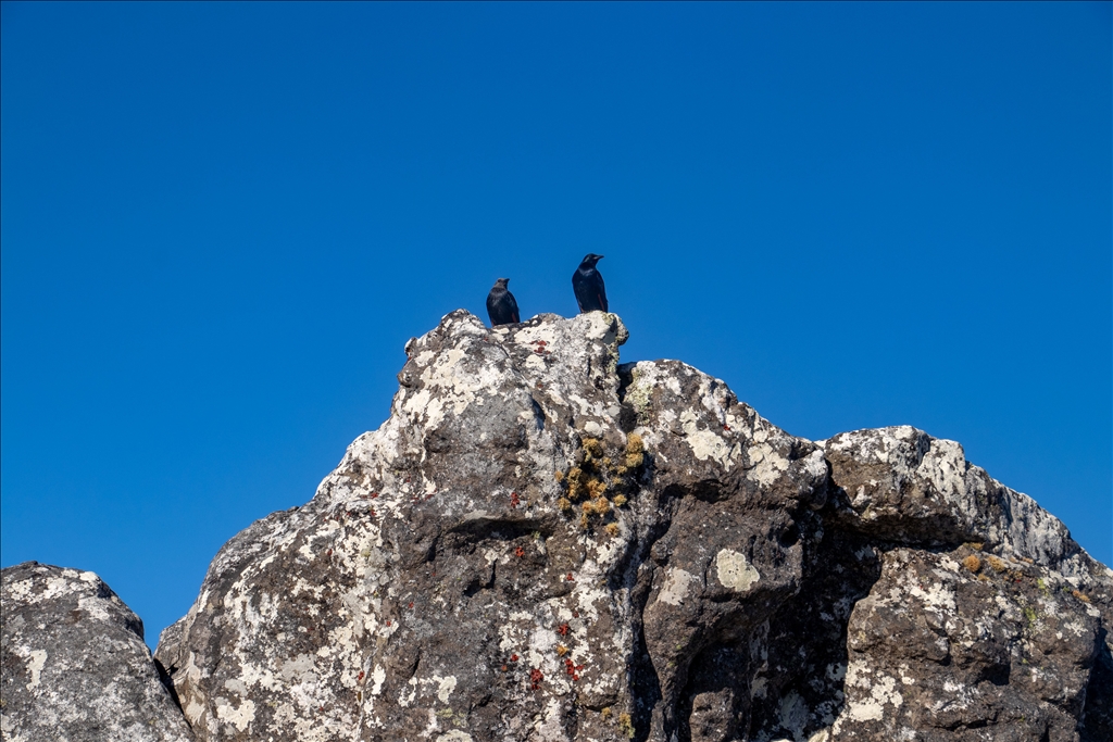 Mali mbi Cape Town, një nga destinacionet më të njohura turistike në Afrikë