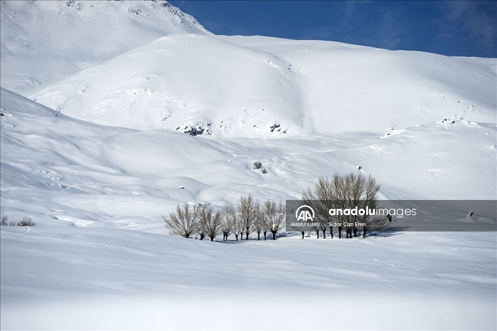 Tunceli'nin Ovacık ilçesinde kar kalınlığı 2 metreyi aştı