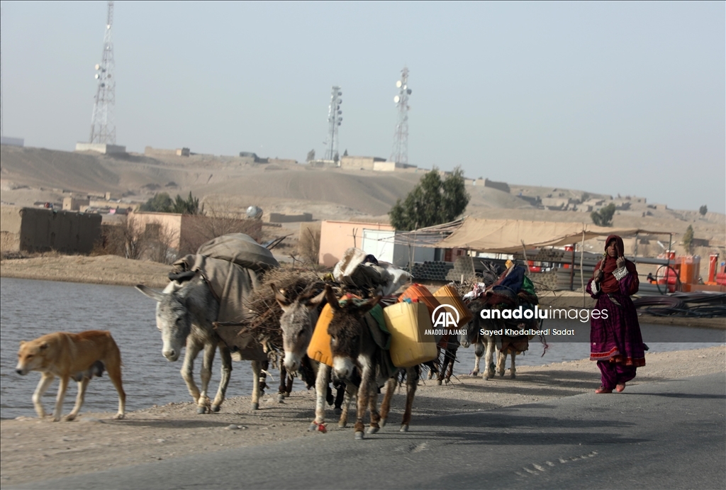 Afganistan'ın Helmand vilayetinde günlük yaşam