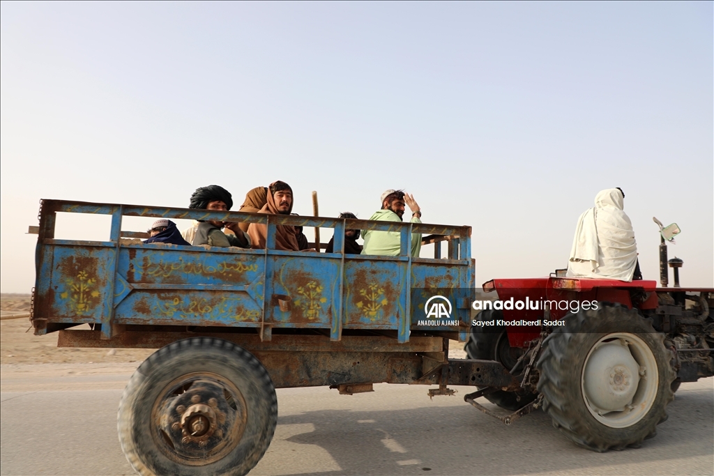 Afganistan'ın Helmand vilayetinde günlük yaşam