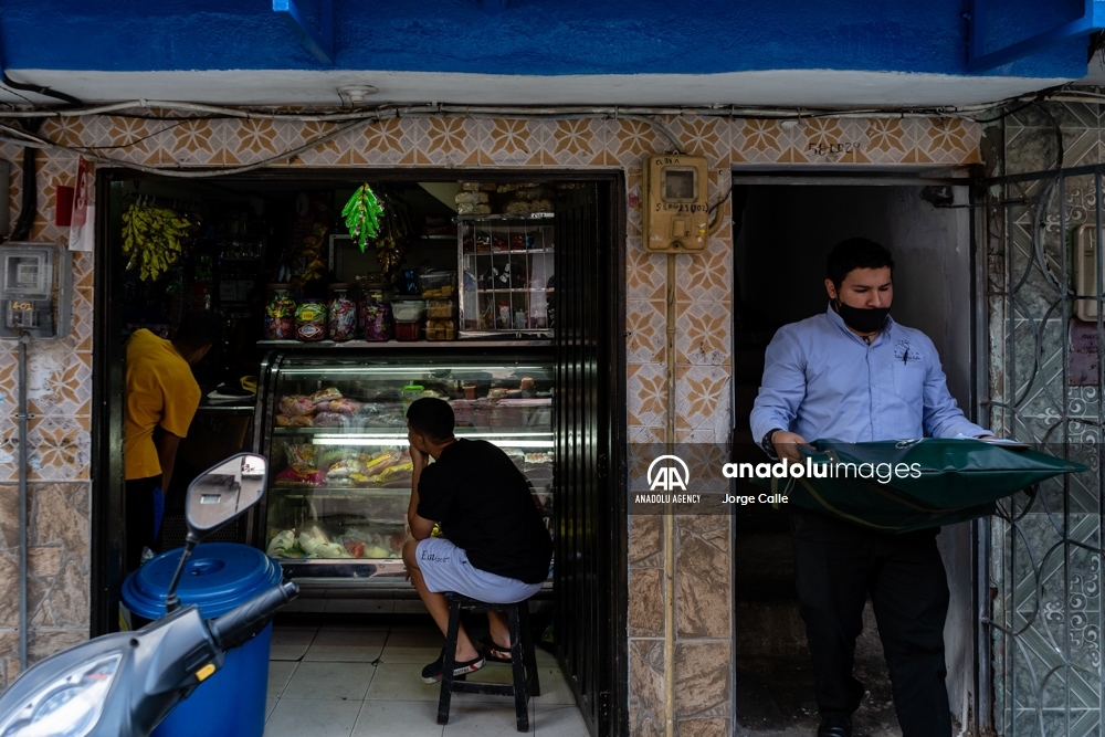 Pleia, una opción para despedirse de las mascotas de forma responsable