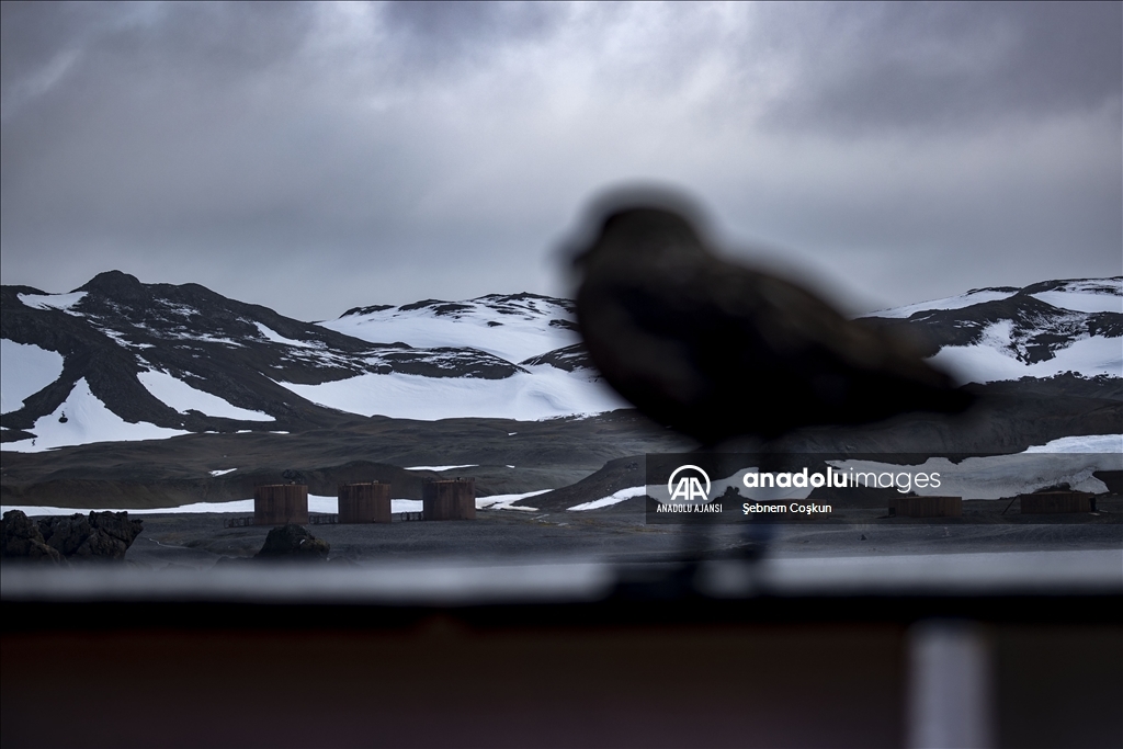 Türk ekibi Antarktika’ya ayak bastı