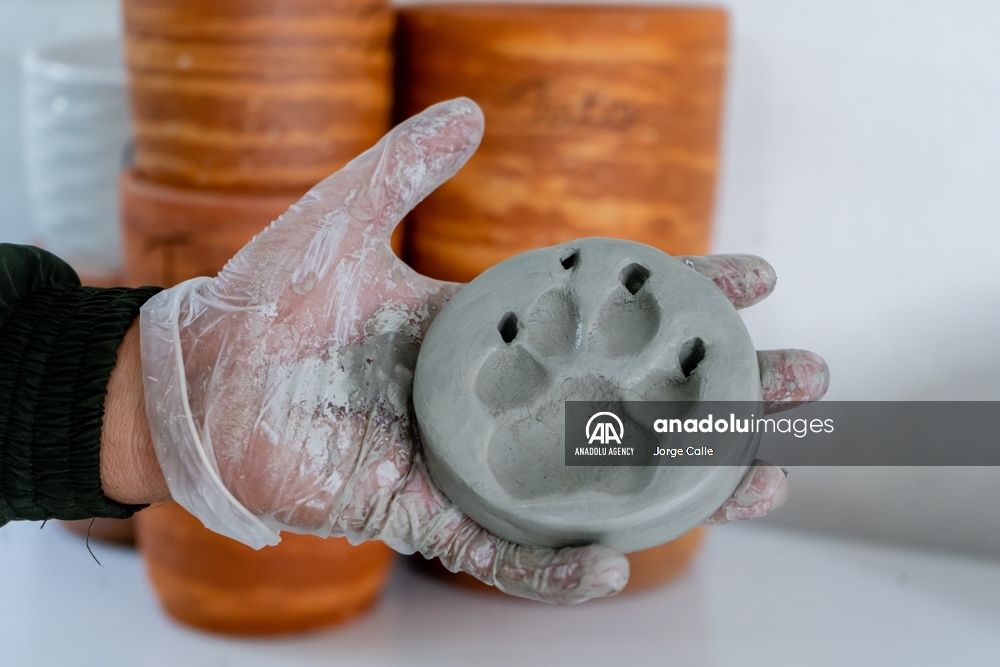 Pleia, una opción para despedirse de las mascotas de forma responsable