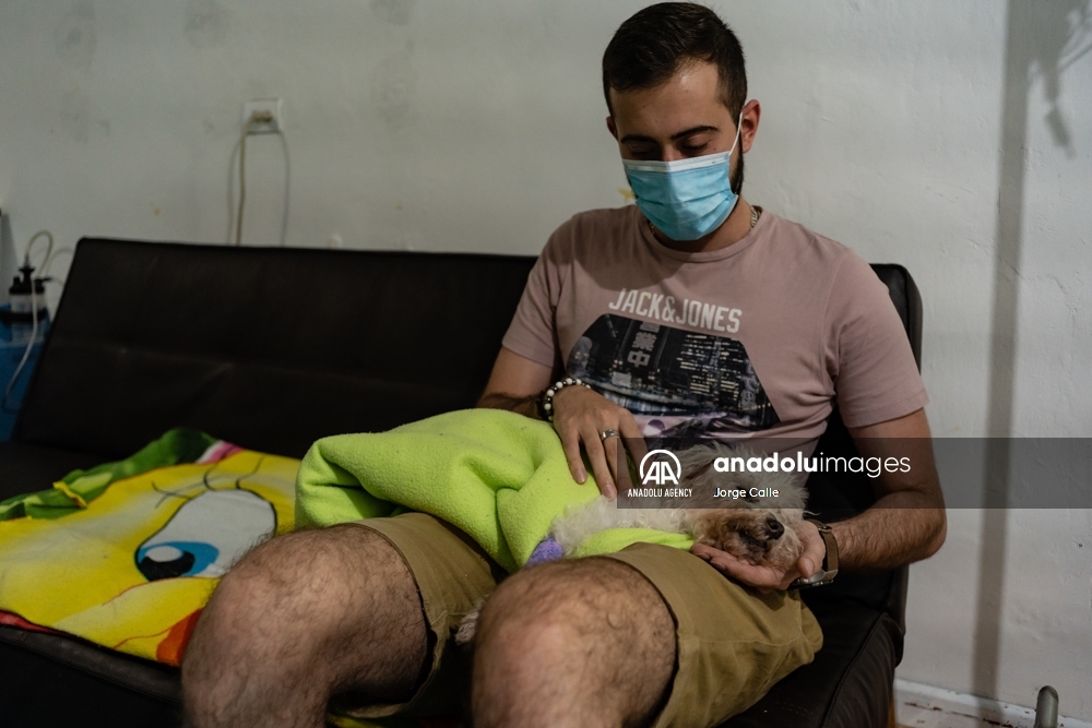 Pleia, una opción para despedirse de las mascotas de forma responsable