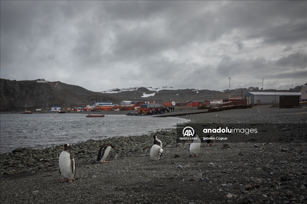 Türk ekibi Antarktika’ya ayak bastı