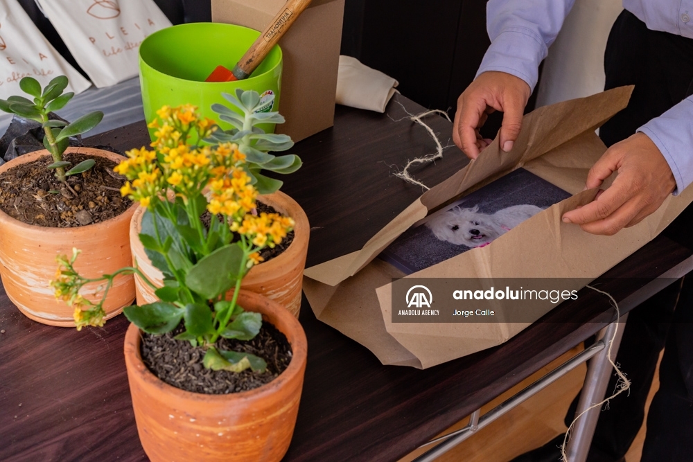 Pleia, una opción para despedirse de las mascotas de forma responsable