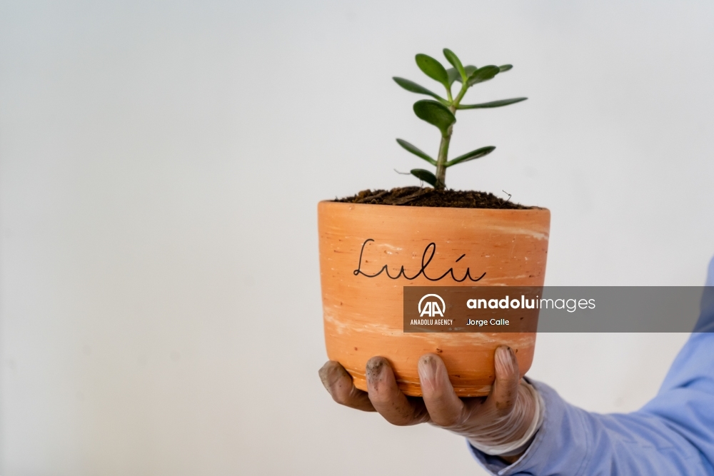 Pleia, una opción para despedirse de las mascotas de forma responsable