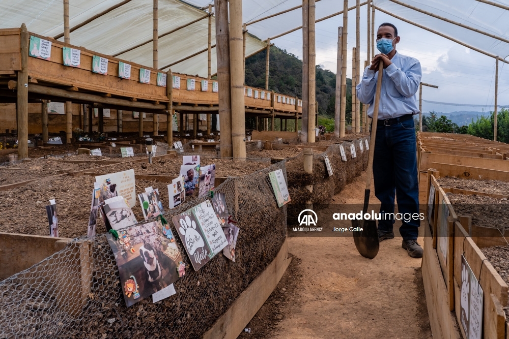 Pleia, una opción para despedirse de las mascotas de forma responsable