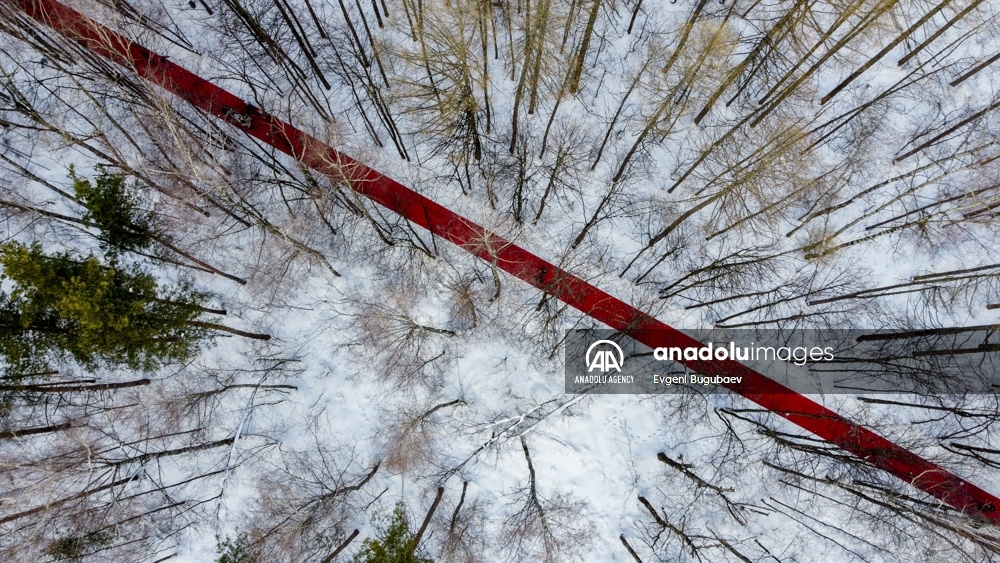 Artista ruso decora con una alfombra de 250 metros un bosque cubierto de nieve