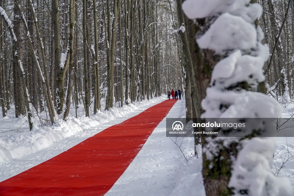 Artista ruso decora con una alfombra de 250 metros un bosque cubierto de nieve