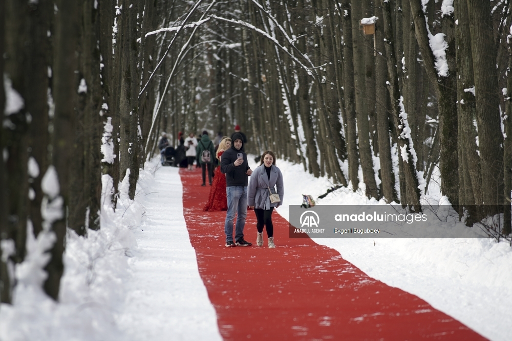 Artista ruso decora con una alfombra de 250 metros un bosque cubierto de nieve
