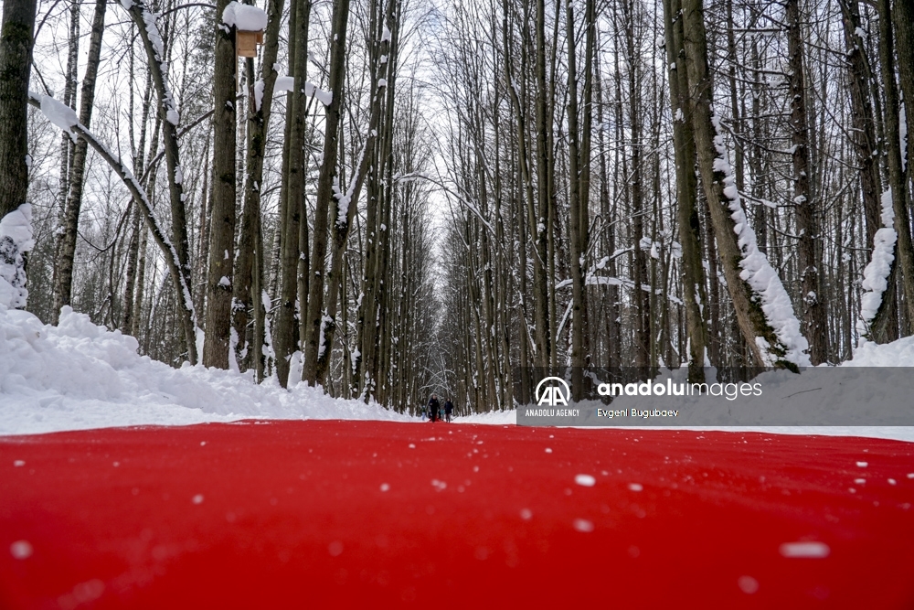 Artista ruso decora con una alfombra de 250 metros un bosque cubierto de nieve