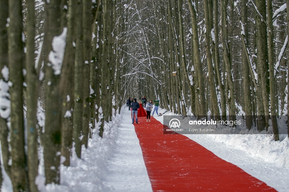 Artista ruso decora con una alfombra de 250 metros un bosque cubierto de nieve