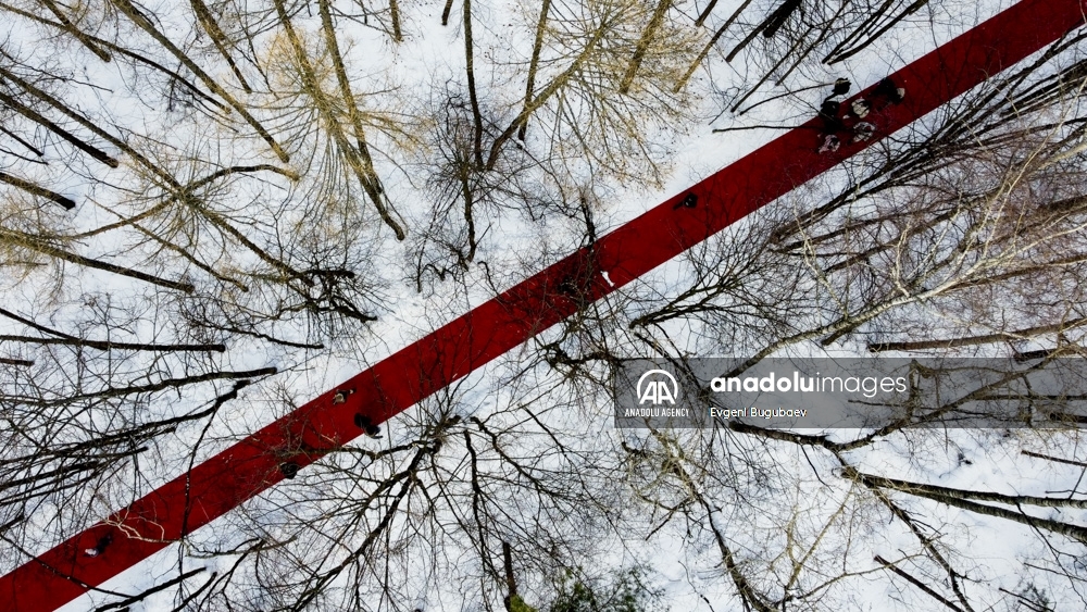 Artista ruso decora con una alfombra de 250 metros un bosque cubierto de nieve