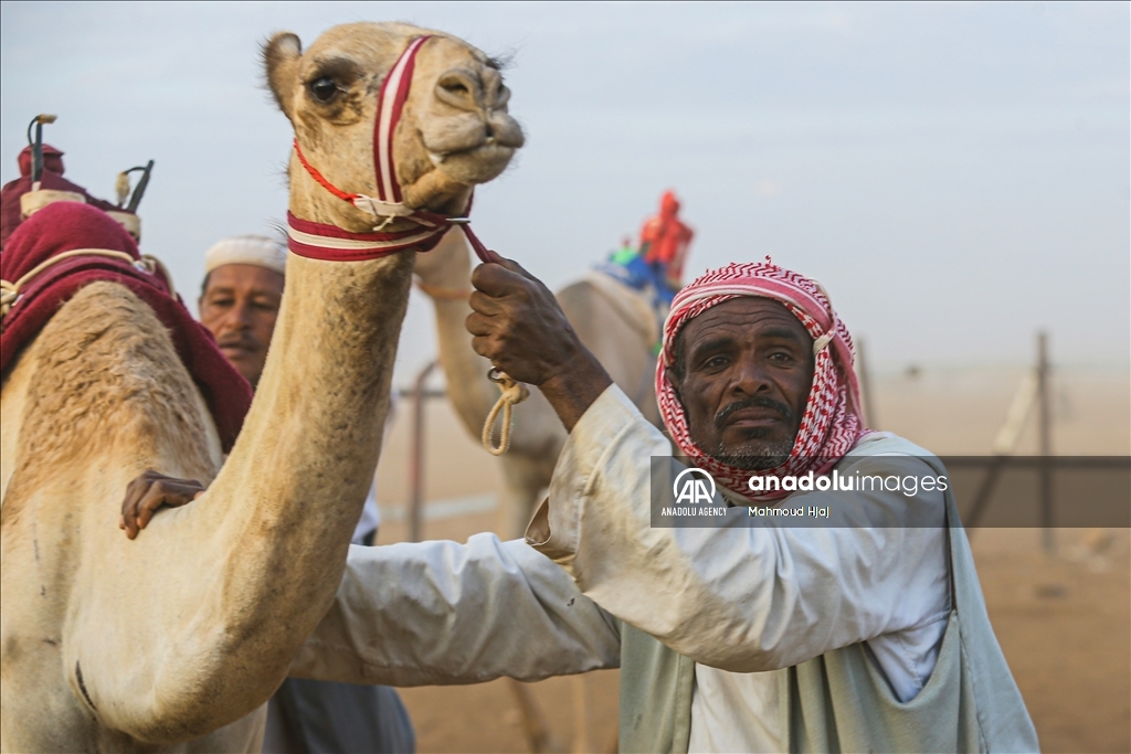 بمشاركة عربية.. انطلاق سباق الهجن السودانية في كسلا