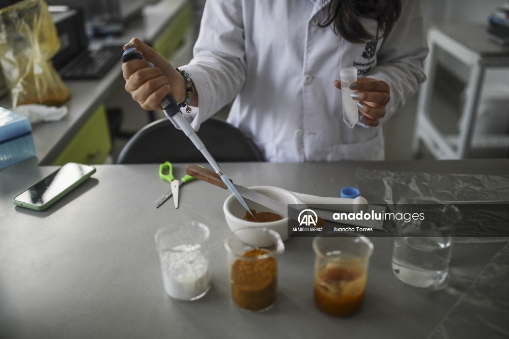 Un superalimento desarrollado en Colombia protege a las abejas de los pesticidas