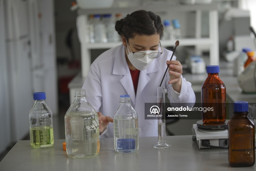 Un superalimento desarrollado en Colombia protege a las abejas de los pesticidas