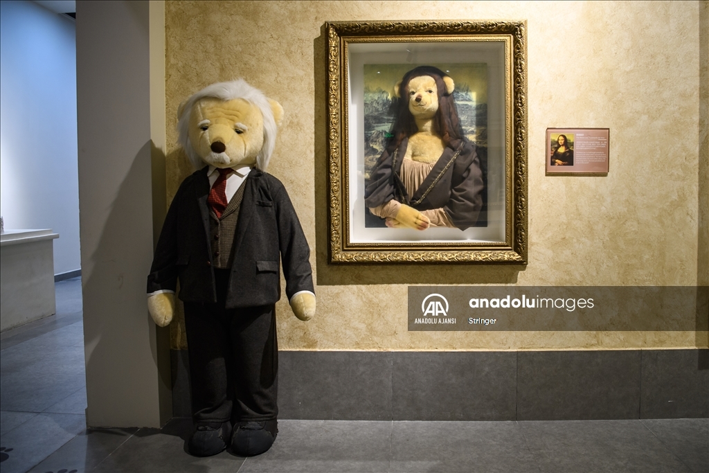 Çin'deki Teddy Bear (Oyuncak Ayı) müzesi ziyaretçilerin ilgisini çekiyor