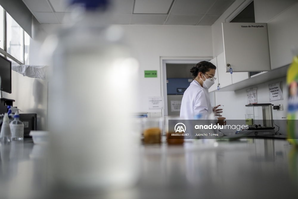 Un superalimento desarrollado en Colombia protege a las abejas de los pesticidas