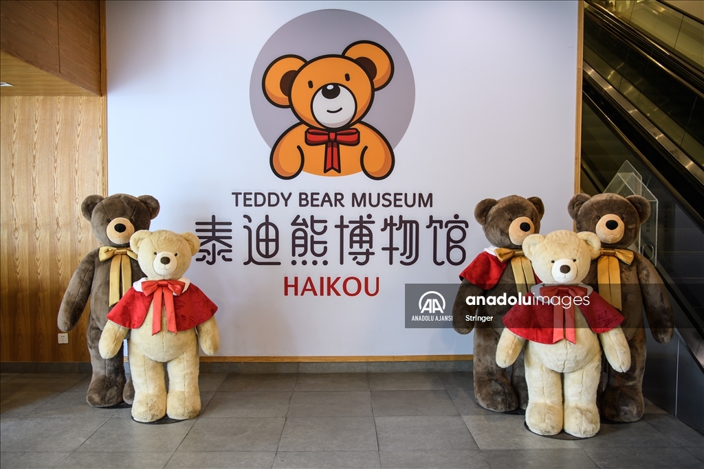 Çin'deki Teddy Bear (Oyuncak Ayı) müzesi ziyaretçilerin ilgisini çekiyor