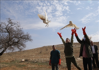 Turquie : les animaux sauvages retrouvent la santé dans un centre spécial à Sanliurfa