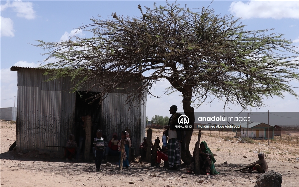 Drought-affected Ethiopians wait for food aid