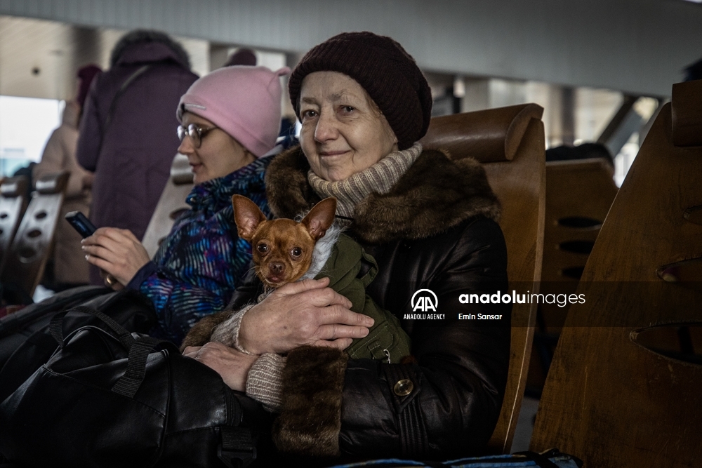 Las mujeres ucranianas enfrentan el Día Internacional de la Mujer más duro bajo la sombra de los ataques de Rusia