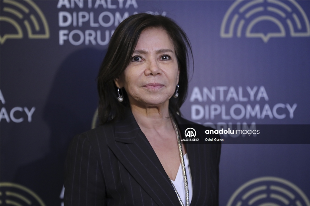 Ambassador of the Argentine Republic to Ankara Patricia Beatriz Salas