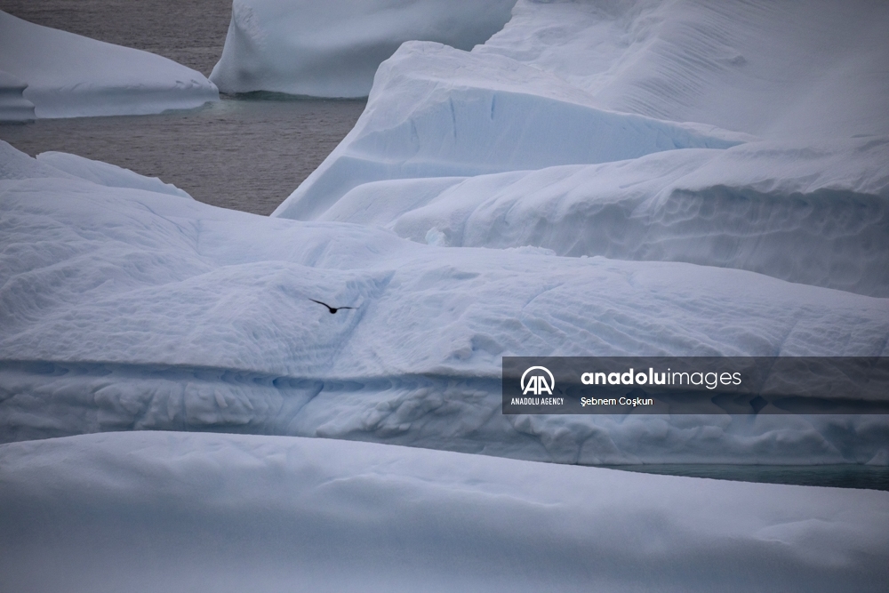 Témpanos de hielo se derriten debido al cambio climático en la Antártida