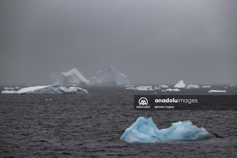 Témpanos de hielo se derriten debido al cambio climático en la Antártida