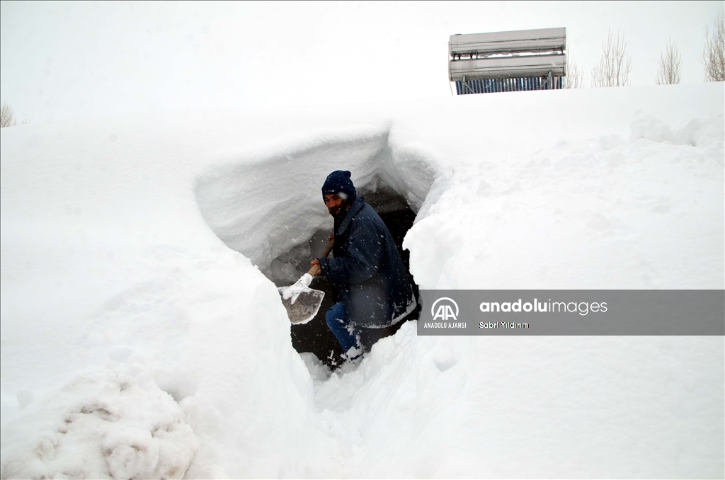 Muş'un Yukarıyongalı köyünde evler kar altında kaldı