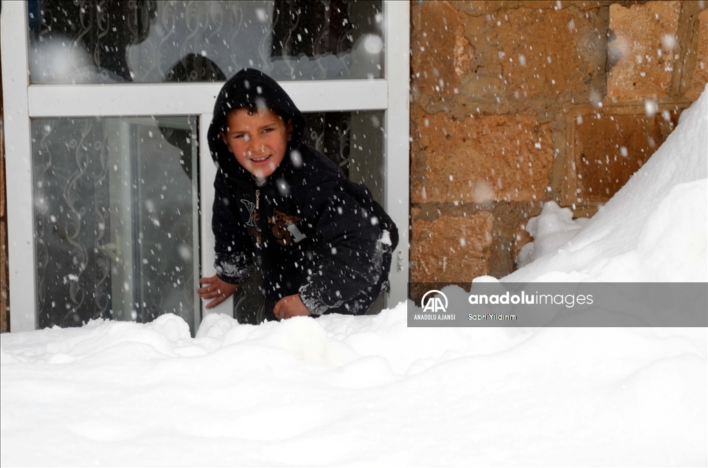 Muş'un Yukarıyongalı köyünde evler kar altında kaldı