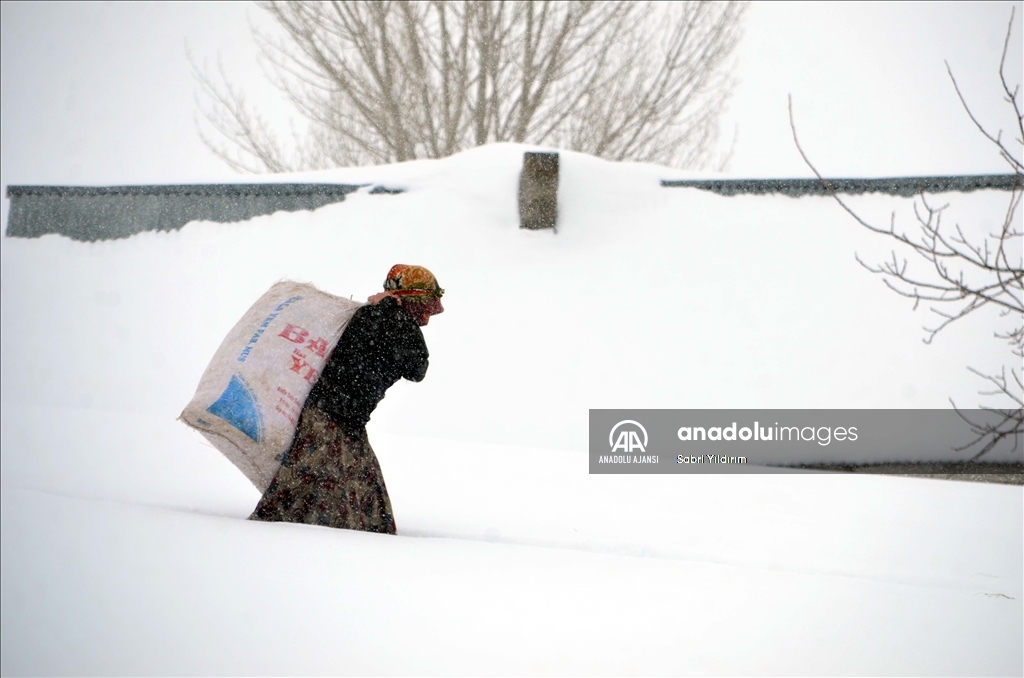 Muş'un Yukarıyongalı köyünde evler kar altında kaldı