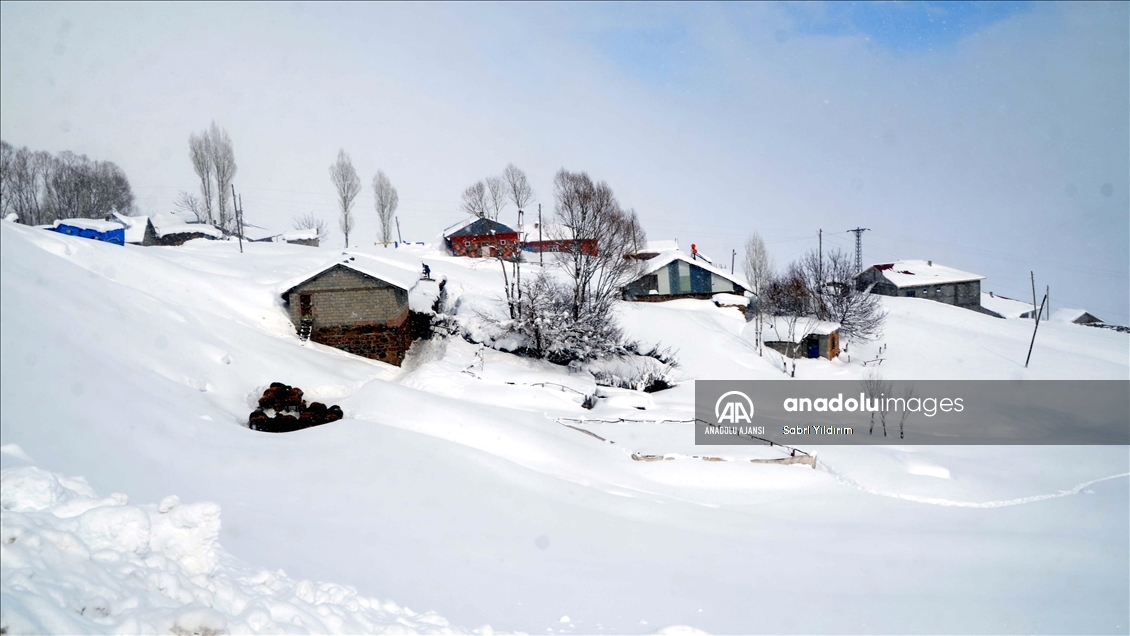 Muş'un Yukarıyongalı köyünde evler kar altında kaldı