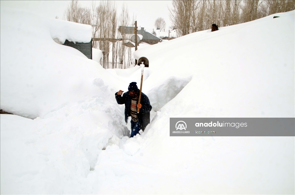 Muş'un Yukarıyongalı köyünde evler kar altında kaldı