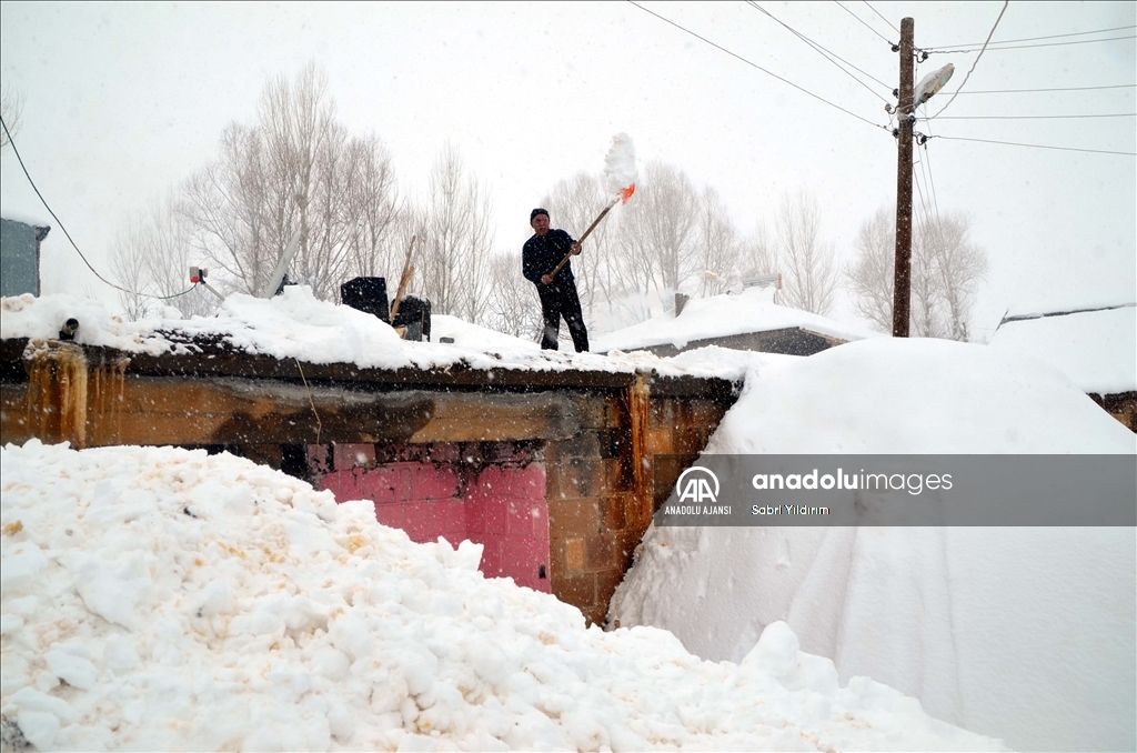 Muş'un Yukarıyongalı köyünde evler kar altında kaldı