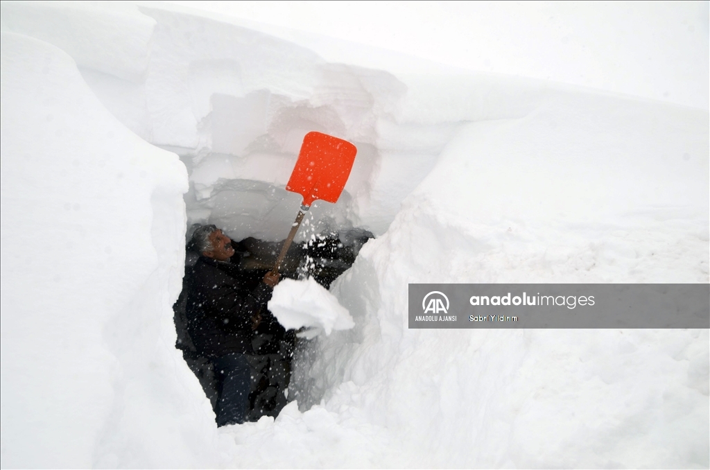 Muş'un Yukarıyongalı köyünde evler kar altında kaldı