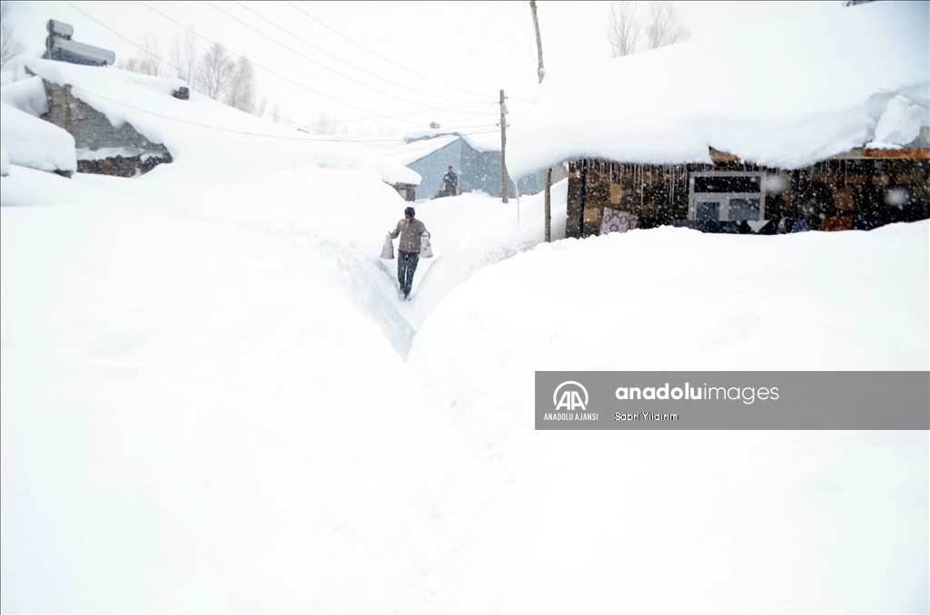 Muş'un Yukarıyongalı köyünde evler kar altında kaldı