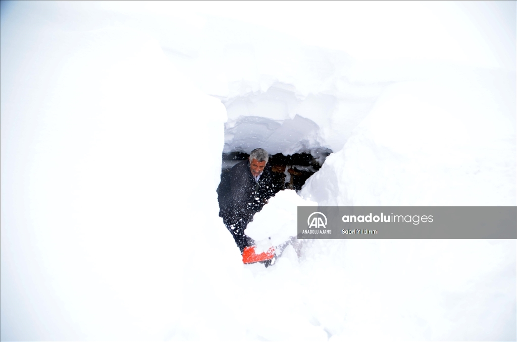 Muş'un Yukarıyongalı köyünde evler kar altında kaldı