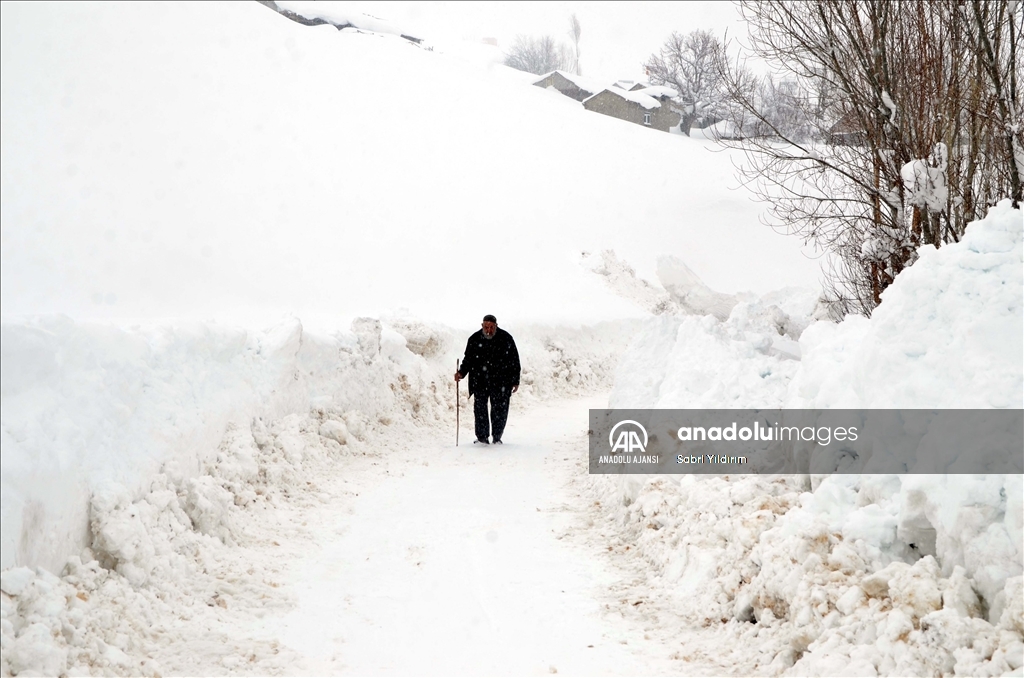 Muş'un Yukarıyongalı köyünde evler kar altında kaldı