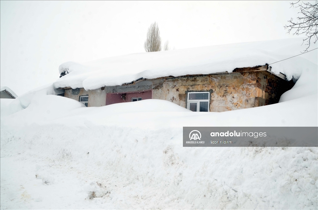 Muş'un Yukarıyongalı köyünde evler kar altında kaldı