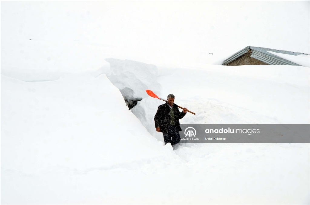 Muş'un Yukarıyongalı köyünde evler kar altında kaldı