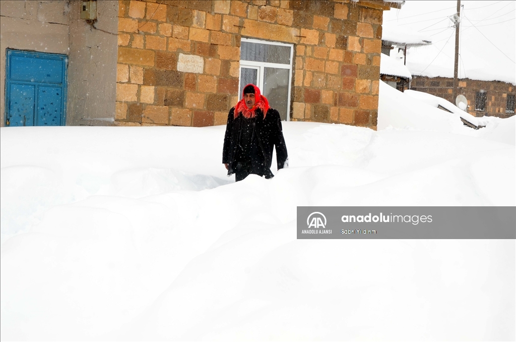 Muş'un Yukarıyongalı köyünde evler kar altında kaldı