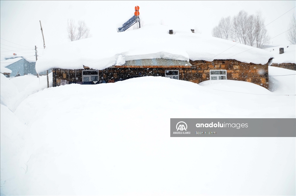 Muş'un Yukarıyongalı köyünde evler kar altında kaldı