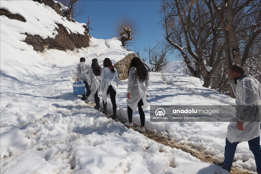 Sağlık ekipleri kar engelini aşıp kırsaldaki vatandaşlara aşı ulaştırıyor