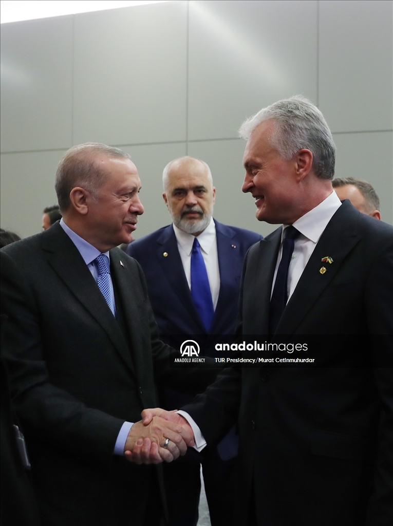 NATO Heads of State and Government in Brussels