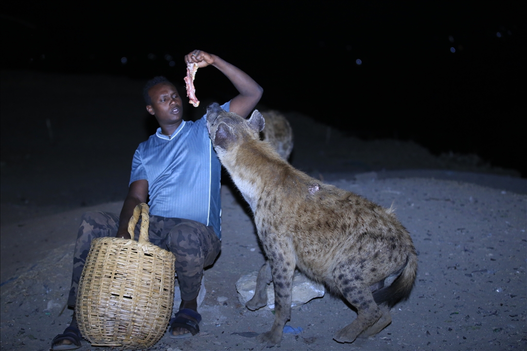 Ethiopia: Tamer of hyena hopes to grow into circus 