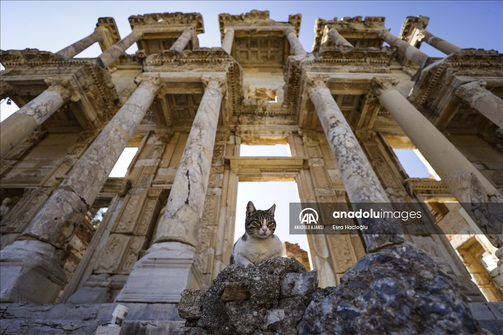 Efes Antik Kenti her mevsim turist ağırlamaya devam ediyor