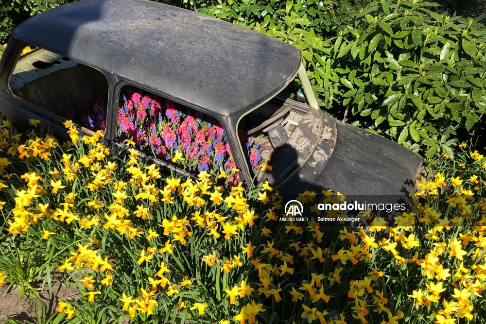 Keukenhof, el parque floral más grande del mundo