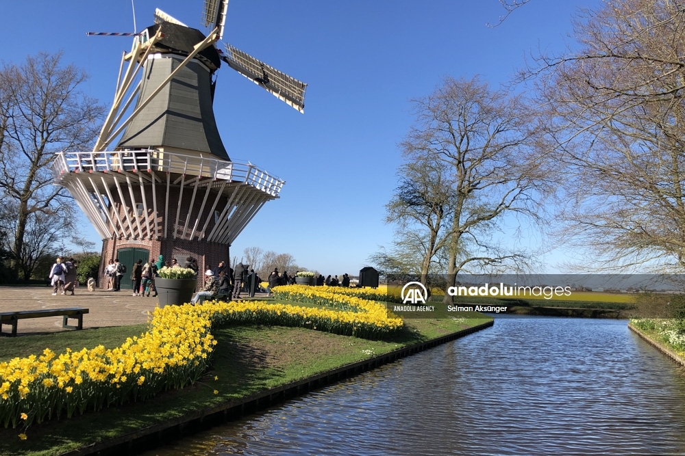Keukenhof, el parque floral más grande del mundo